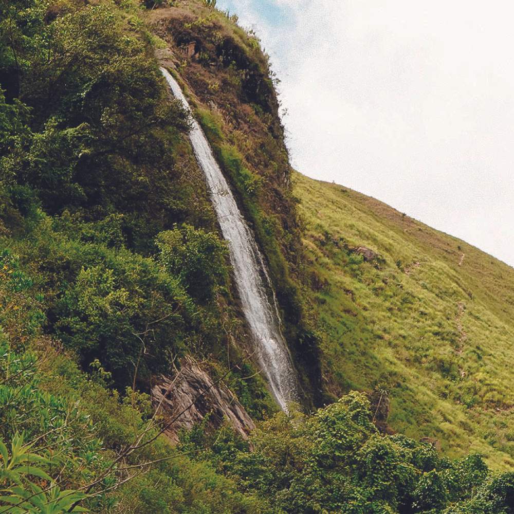 Protección de Fuentes y Cauces